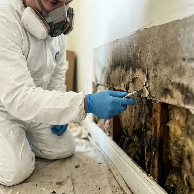 Historic Home Drywall Restoration process close-up